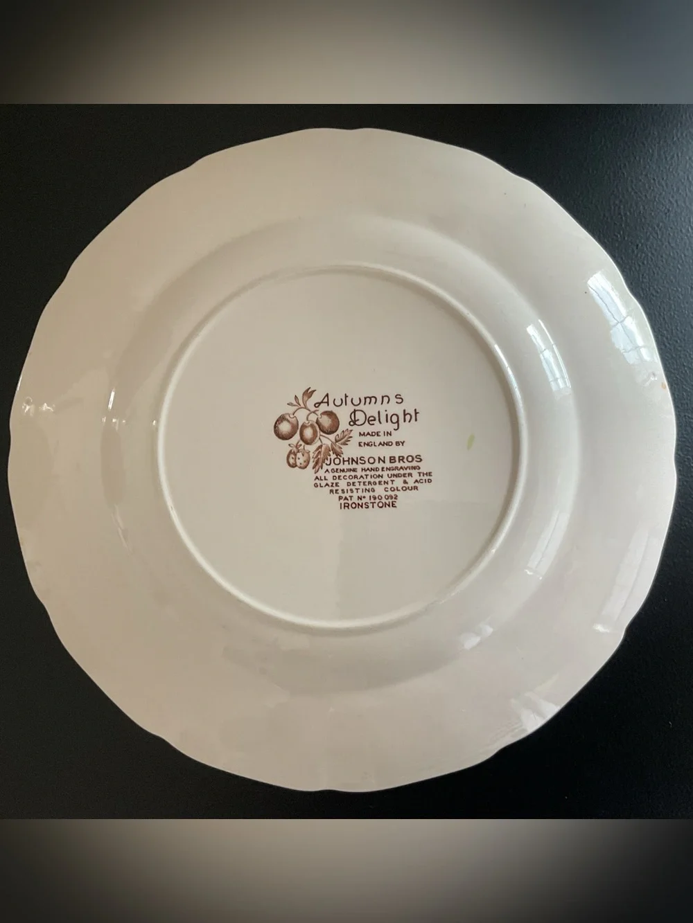 Vintage 	1960s/1970s Johnson Bros Autumns Delight Dinner Plates Set of 2